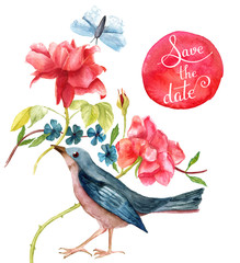 'Save the date' vintage illustration with watercolor bird, roses