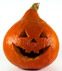 Halloween pumpkin hokkaido