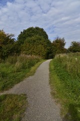 Obraz premium Chemin en cailloux traversant la nature sauvage du bois de Scheutbos à Molembeek 