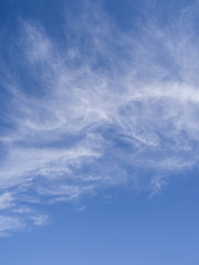 Cirrus clouds in the blue sky.