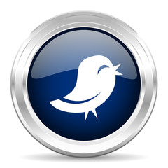 twitter cirle glossy dark blue web icon on white background