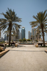 Fototapeta na wymiar Wolkenkratzer durch Palmen Dubai Marina