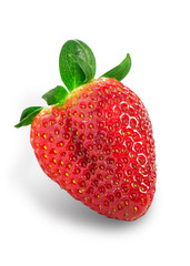 Colorful Strawberry