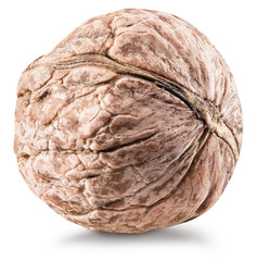Obraz premium Whole uncracked walnut.