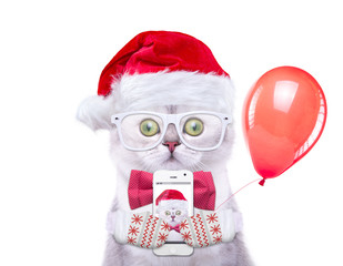 Smart and beautiful cat in a Christmas costume is holding a phone. New Year's holidays