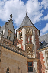 Fototapeta na wymiar Amboise Clos Luce' - Loira, Francia