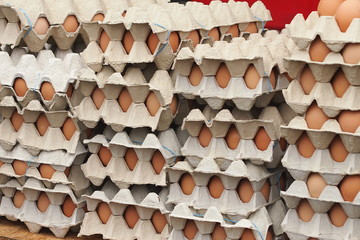 Egg packagings made from recycled paper. 