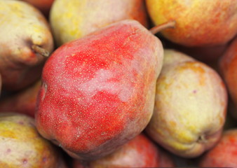 Pile of premium big Williams pears at farmers market in Prague. 