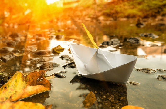 Paper boat in a water and fall leaves. Toned image.