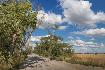 Road in the Nature