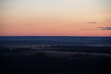 Yellow leaves of birch