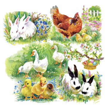 Little fluffy cute watercolor ducklings, chickens and hares with