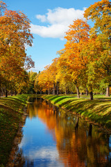 river channel in the autumn park