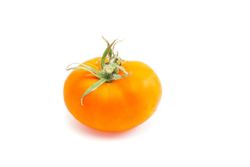 single fresh red tomato
