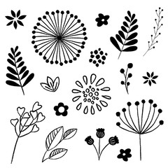 Floral and Leaf Elements Set  © Giraphics