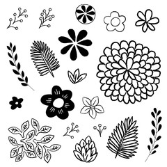 Floral and Leaf Elements Set  © Giraphics