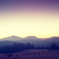 Picturesque misty and cold  sunrise in landscape. First hoarfrost in foggy morning meadow