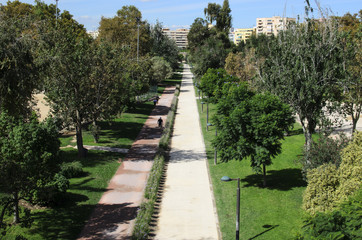 Valencia, jardines del río Turia