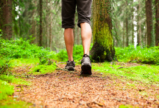 Male hiker going for a walk through nature