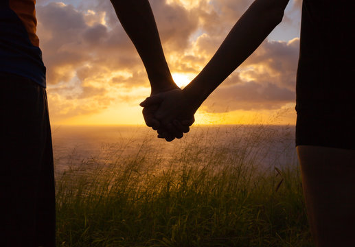 Couple holding hands looking at the sunset 