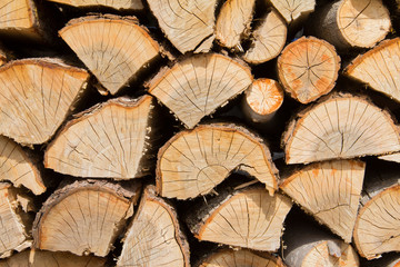 Wood Logs