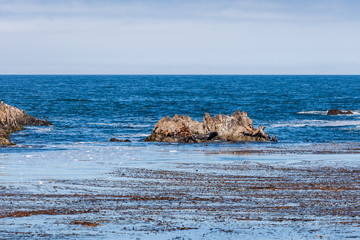 Seal Rock with sea lions at 17 Mile Drive