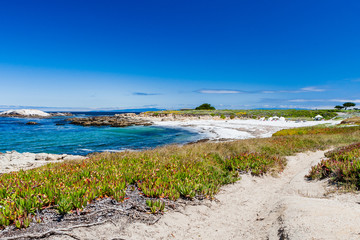 Sandy beach near Cypress Point