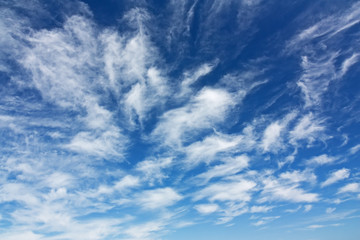Federwolken am blauen Himmel, cirrus clouds