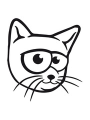 funny comic cartoon cat face