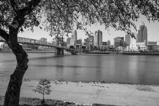 Fototapeta Cincinnati Black and White 3