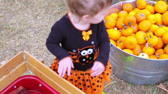 Toddler in Halloween costume playing at the pumpkin patch