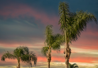 Summer is settled in my heart
