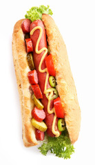 Fresh hot dog isolated on white
