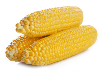 Ripe corn isolated on white