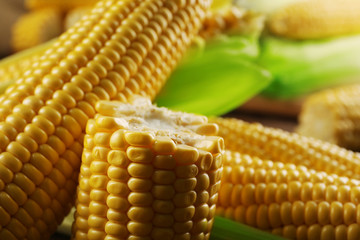 Ripe corn on wooden background