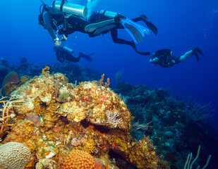 Colorfull reef and group of divers, Cayo Largo, Cuba