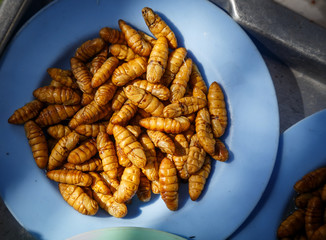Silkworm pupae boiled.