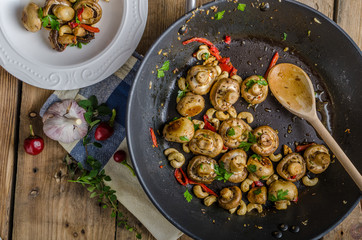 Fresh mushroom salad with chilli and herbs