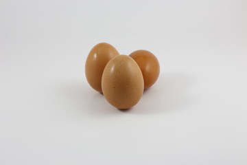 hen egg on white background