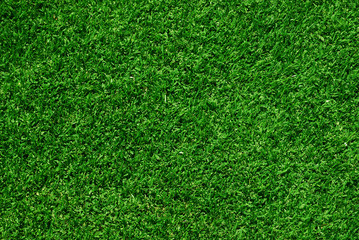 green grass background