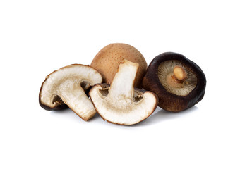 fresh Shiitake mushrooms on white background