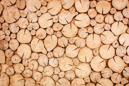 timber wood texture surface