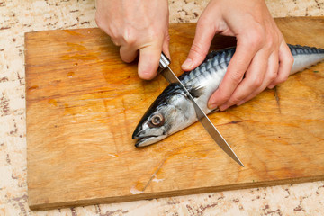 A woman chef slices a fish mackrel on a wooden Board