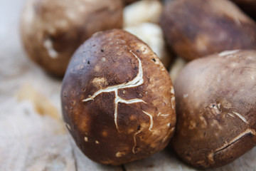 Shiitake mushroom on wooden table