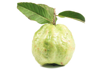 isolated guava on white background
