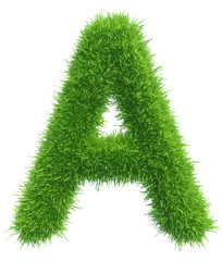 Vector capital letter A from grass on white background