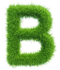 Vector capital letter B from grass on white background