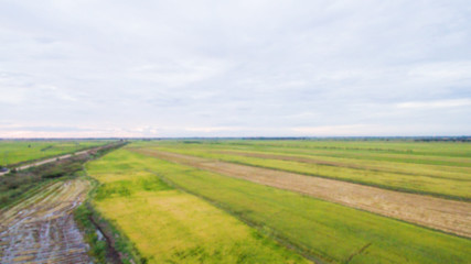 Fototapeta na wymiar Defocused landscape hight view in the fields asian farmer for background/texture.