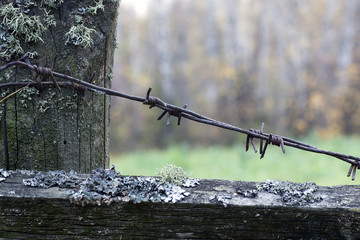 Fence