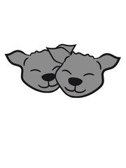 2 schmusende cute sweet cat couple love